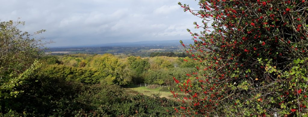 Kent landscape photo