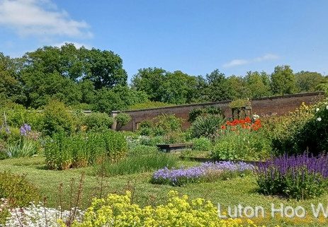 Wide photo of walled garden with flower borders