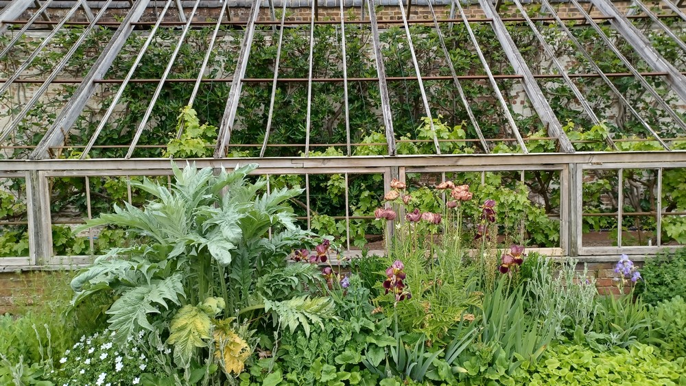 Long greenhouse and plant  border