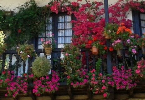 Balcony with hanging baskets, photo