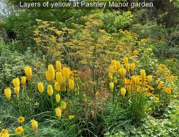 Yellow border Pashley Manor, photo